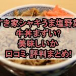 すき家シャキうま塩野菜牛丼まずい?美味しいか口コミ･評判まとめ!