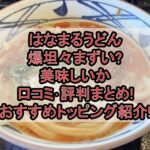 はなまるうどん爆坦々まずい?美味しいか口コミ･評判まとめ!おすすめトッピングも紹介!