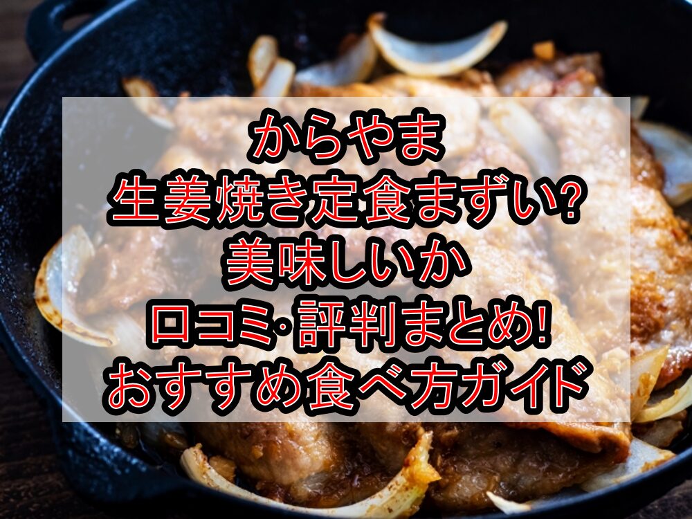 からやま生姜焼き定食まずい?美味しいか口コミ・評判まとめ!おすすめ食べ方ガイド